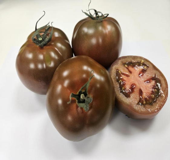 Brown Tomato