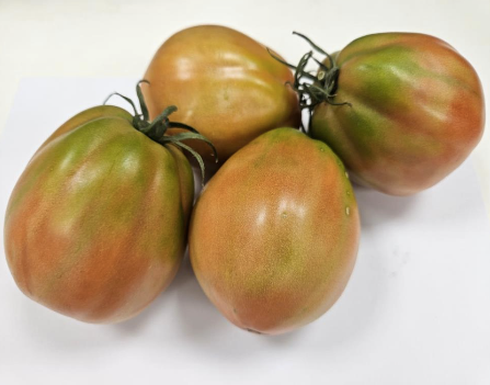 French Tomato
