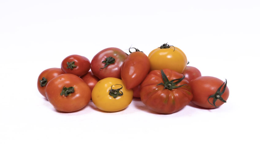 Tomato Delight Mix