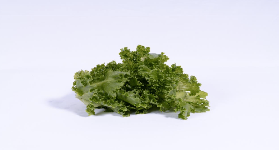 Lettuce Crunchy Green