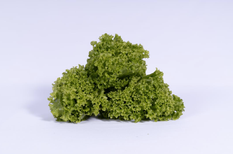 Lettuce Lollo Green