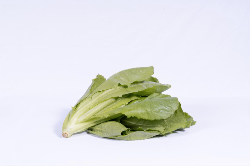 Lettuce Romaine