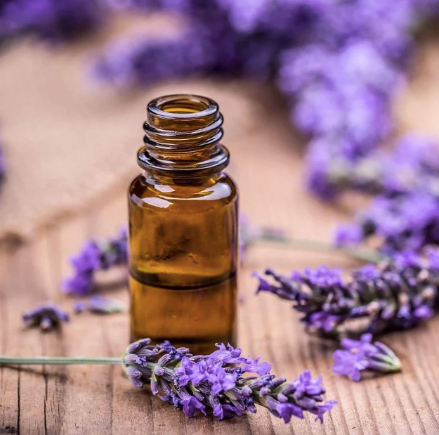 Lavender Essential Oil