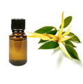 Ylang Ylang Essential Oil