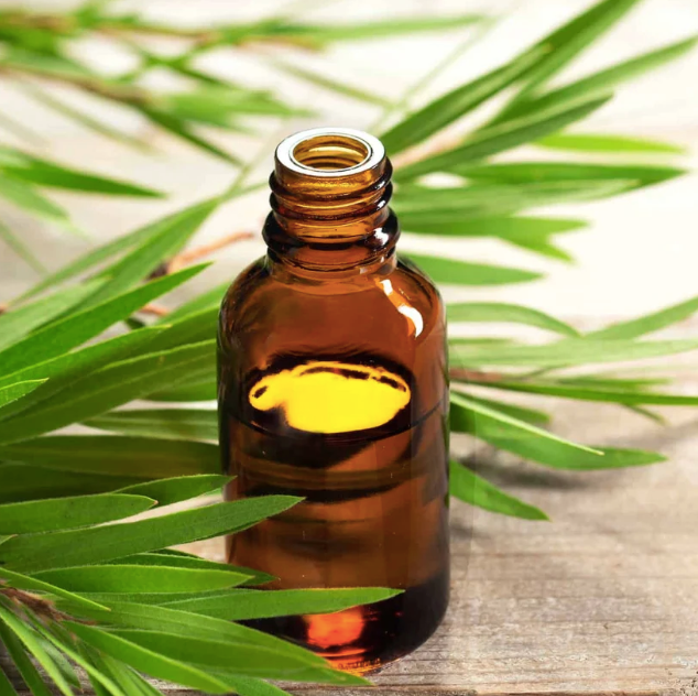 Tea Tree Essential Oil