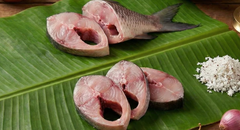 Tilapia / జిలేబి చేప