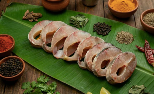 Snakehead Murrel/Korameenu/కొరమెను