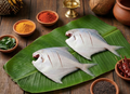 White Pomfret / Chanduva / చందువా