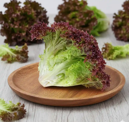 Lollo rosso ( Red lollo ) - 100 GMS