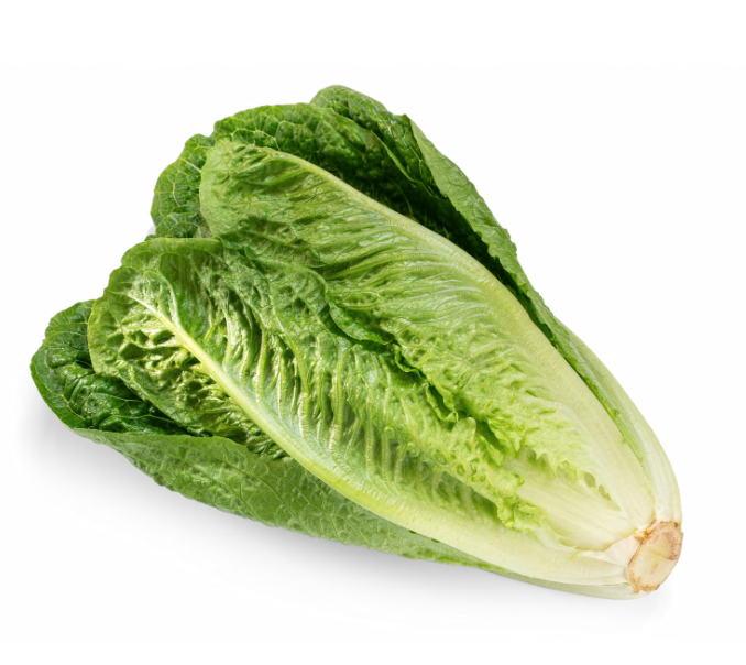 Romaine (100 GMS)