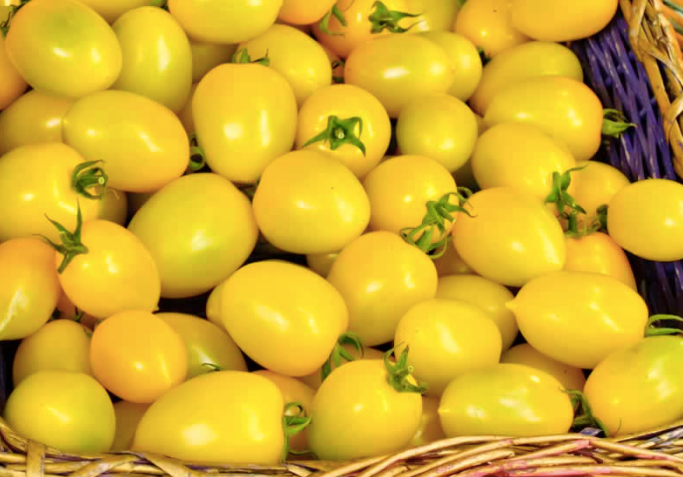 Yellow plum cherry tomato