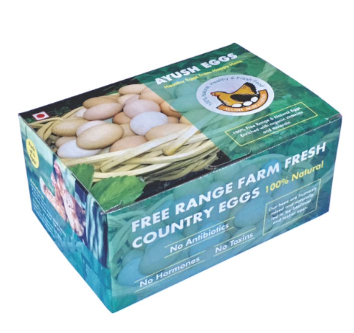 Antibiotic-Free, Free-Range Eggs (Pack of 6)