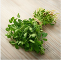 Organic Methi ( 250 GMS)