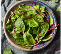 Organic Baby Beetgreens ( 100 GM)