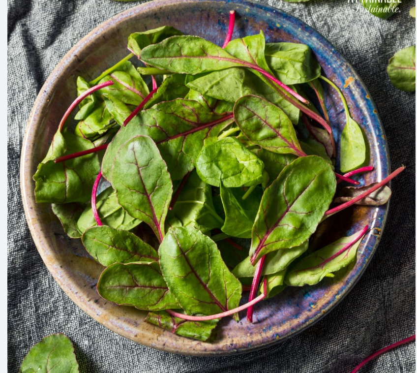 Organic Baby Beetgreens ( 100 GM)