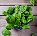 Organic Baby Spinach ( 100 GM)