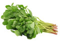 Organic Gangavalli/Kulfa/Purslane ( 250 GMS)