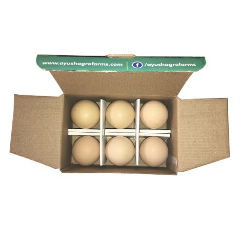 Antibiotic-Free, Free-Range Eggs (Pack of 6)